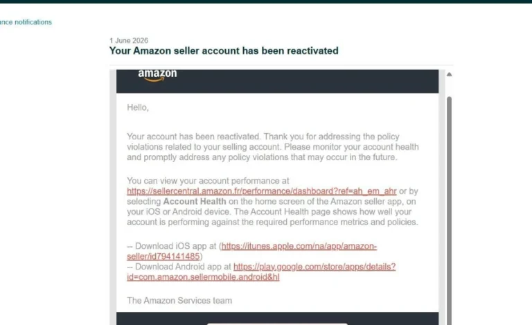 Amazon Seller Centeral - Elite Reinstatement Pros
