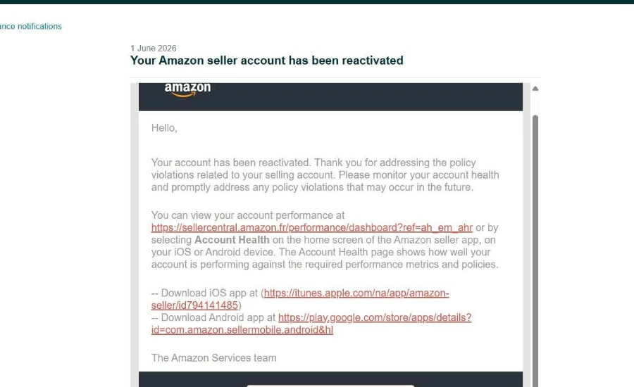 Amazon Seller Centeral - Elite Reinstatement Pros
